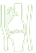 Orthopedic Physiotherapy